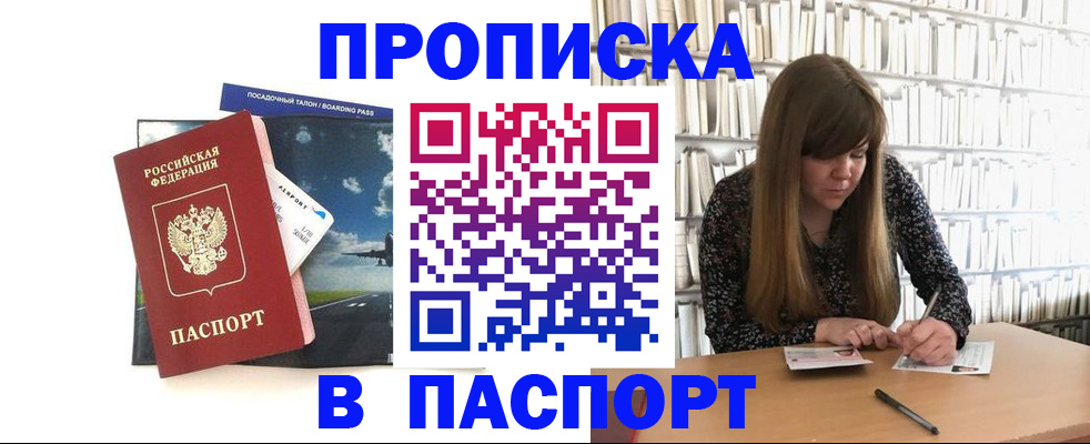 прописка поиск в Бородино